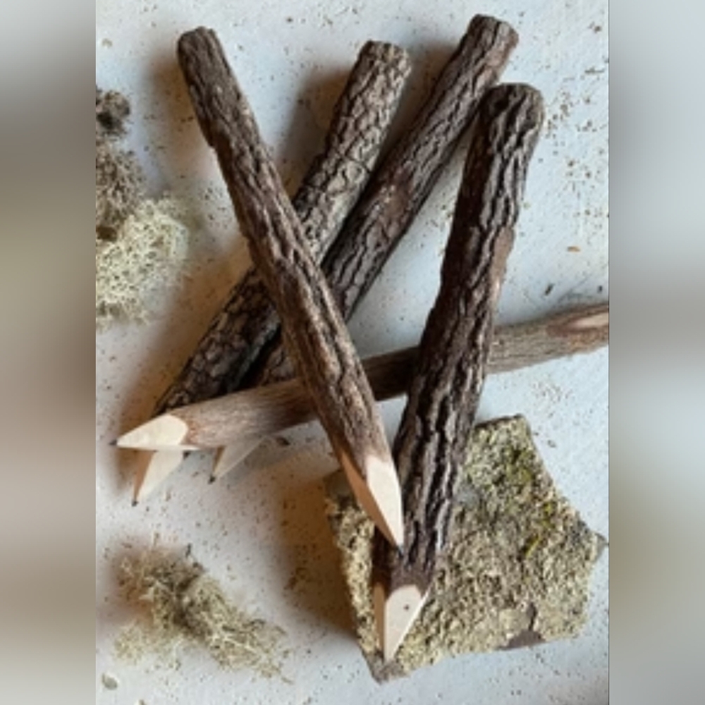 Natural Colored Pencil Set of 10 Stick Branch Rustic